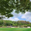 온산운동장 운동시설 이미지