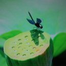 나비잠자리 이미지