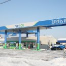 장항농협주유소 이미지