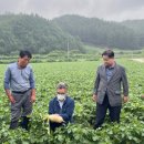 강릉원예농협 이미지