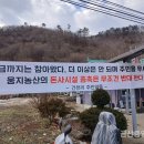 각하농장 이미지