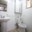 경운초등학교 이미지