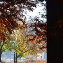 대소생활체육공원 다목적경기장 | 송파 여행지 코스 갈만한곳 | 올림픽공원의 가을 | 서울 가볼만한곳