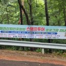 바라산 투어코리아