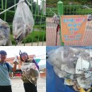 연세한아름약국 이미지