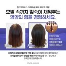 컬러앤하우스 - 용인시 기흥구 | 컬러앤하우스