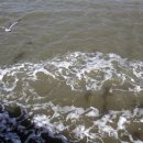 석모도상주해안길 이미지