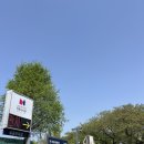 정산도서관 | 정독도서관 겹벚꽃 꽃사과 한번에! 실시간 주말 주차 해본 후기