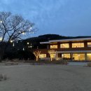 건축사사무소 빈센트의 올리브 | [남천동] 모모스 커피 도모헌점_솔직후기
