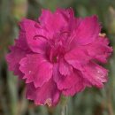 충청농장 이미지