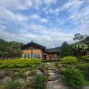 산삼꽃피는마을 이미지