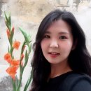 송화네민박 이미지