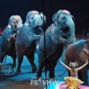 복장의식집 이미지