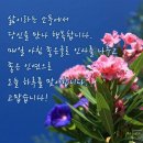 " 2019년 봄철 초딩모임"(①'한봉석할머니 순두부'식당과 '화성행궁(華城行宮)'에서)＜4.20(토)＞ 이미지