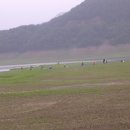 제일낚시 Daum카페