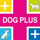 도그바이러스 이미지