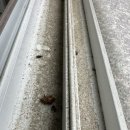 라온프라이빗아파트 경로당 | 원주 기업도시 라온프라이빗 아파트 유리창청소 후기