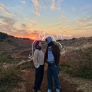 노을숲제주 | 제주 금오름 12월 노을 시간 주차장 위치 총정리 전망 포인트 추천