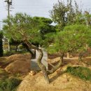 하루농장 이미지