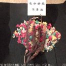 꽃밥이야기 이미지