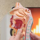 테크닉노래방 | 동탄보컬학원 송유이보컬발성클래스 원데이 레슨 후기 | 동탄실용음악