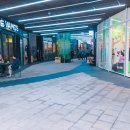 합정릴리펏 이미지