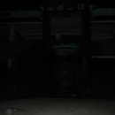 늘봄목장 이미지