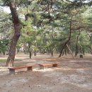 하동공원길 이미지