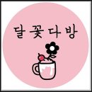 달꽃 이미지