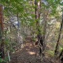 백덕산 등산로 주차장 이미지