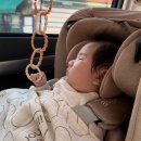 13주 차 | 뒤집기 못하는 아기 성질머리 기록 / 건대병원 신생아 심잡음 검사 / 서울엄마아빠택시 후기