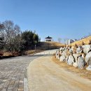 읍내8통 네이버블로그