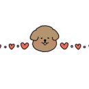 프리원핏 역곡점 이미지