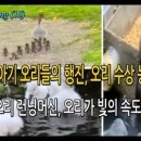 행진농장 이미지