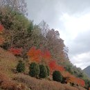 명승조경 이미지
