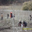 느티나무2농장 이미지