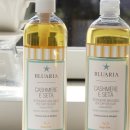 블루 아리아 이미지