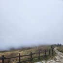 무위의 공동체 이미지