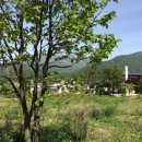 이둔펜션 이미지