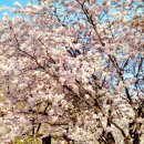 장승휴게소화장실 이미지