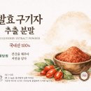 채담원