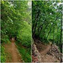 마하사 응진전 석조나한상 | 부산 최초의 사찰 마하사