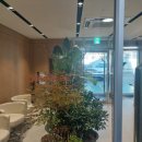 동춘천 종합서비스 기아오토큐 이미지