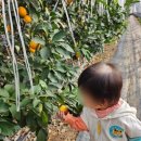 현이농장 이미지