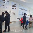 무안황토갯벌랜드 오토캠핑장 이미지