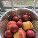 아리수로 이미지