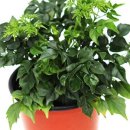 해피그린농장 이미지