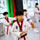 날아라 용인대 태권도장 네이버블로그