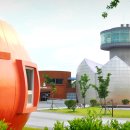 우포늪 생태 사진전 이미지