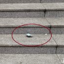 옥상조각 이미지